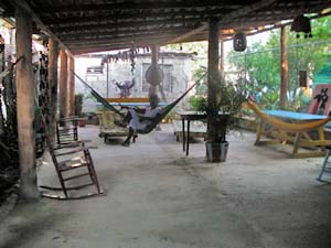 Cola del indio,Saman&aacute;