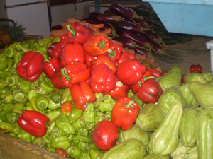 taon y pimientos