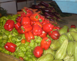 Algunas de las deliciosas y frescas verduras que forman parte del menu de Santi Rancho.